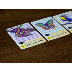 Trek 12: Amazonas - Trek 12