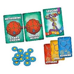 PEPTIDE EL JUEGO DE CONSTRUCCIÓN DE PROTEÍNAS