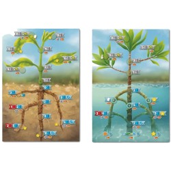 CELLULOSE UN JUEGO DE BIOLOGIA CELULAR VEGETAL