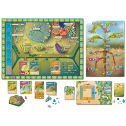 CELLULOSE UN JUEGO DE BIOLOGIA CELULAR VEGETAL