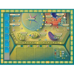 CELLULOSE UN JUEGO DE BIOLOGIA CELULAR VEGETAL